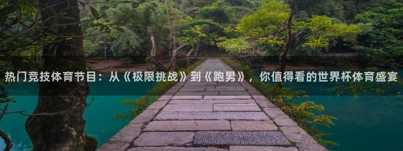 热门竞技体育节目：从《极限挑战》到《跑男》，你值得看的世界杯体育盛宴